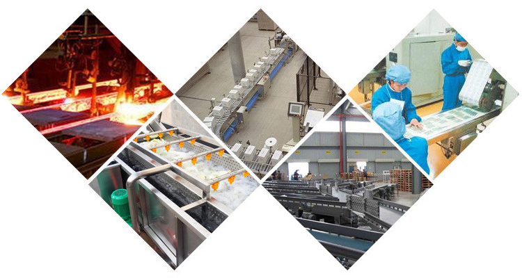 大型链板输送机应用